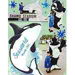 Seaworld Splash