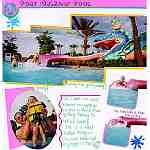 Disney's Port Orleans Pool (L)